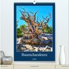Buchcover Baumcharaktere (hochwertiger Premium Wandkalender 2025 DIN A2 hoch), Kunstdruck in Hochglanz