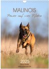 Buchcover Malinois Power auf vier Pfoten (Wandkalender 2025 DIN A4 hoch), CALVENDO Monatskalender