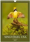 Buchcover Singvögel USA (Wandkalender 2025 DIN A4 hoch), CALVENDO Monatskalender