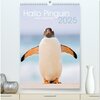 Buchcover Hallo Pinguin (hochwertiger Premium Wandkalender 2025 DIN A2 hoch), Kunstdruck in Hochglanz