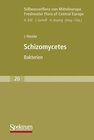 Buchcover Süsswasserflora von Mitteleuropa / Schizomycetes-Bakterien
