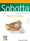 Buchcover Sobotta Lernkarten Neuroanatomie