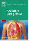 Buchcover Anatomie kurz gefasst