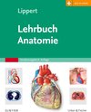 Buchcover Lehrbuch Anatomie