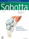 Buchcover Sobotta, Atlas der Anatomie Band 1