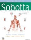 Buchcover Sobotta Lerntabellen Anatomie Muskeln, Gelenke und Nerven