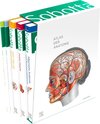 Buchcover Sobotta Atlas der Anatomie, 3 Bände + Lerntabellen + Poster Collection im Schuber und 6-monatiger Zugang zur Complete An