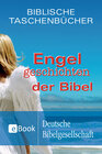 Buchcover Engelgeschichten der Bibel