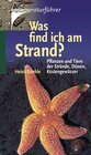 Buchcover Was find ich am Strand?