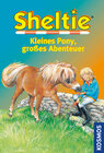 Buchcover Kleines Pony, großes Abenteuer