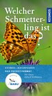 Buchcover Welcher Schmetterling ist das?