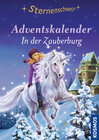 Buchcover Sternenschweif, Adventskalender, In der Zauberburg