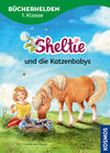 Buchcover Sheltie, Bücherhelden 1. Klasse, Sheltie und die Katzenbabys