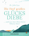 Buchcover Die fünf großen Glücksdiebe