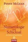 Buchcover Numerologie und Schicksal