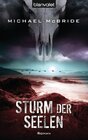 Buchcover Sturm der Seelen