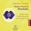 Buchcover Chakra Praxis 6 - Stirnchakra