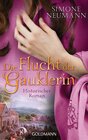 Buchcover Die Flucht der Gauklerin