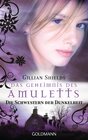 Buchcover Das Geheimnis des Amuletts