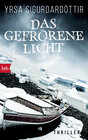 Buchcover Das gefrorene Licht