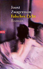 Buchcover Falsches Licht