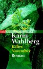 Buchcover Kalter November