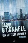 Buchcover Ein Ort zum Sterben