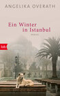 Buchcover Ein Winter in Istanbul