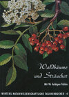 Buchcover Waldbäume, Sträucher und Zwergholzgewächse