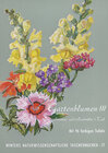 Buchcover Gartenblumen / Sommerflor 1