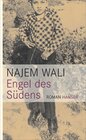 Buchcover Engel des Südens