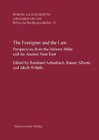 Buchcover The Foreigner and the Law