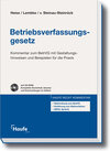 Buchcover Betriebsverfassungsgesetz