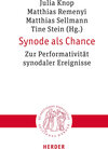 Buchcover Synode als Chance