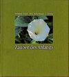 Buchcover Zauber des Anfangs