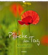 Buchcover Pflücke den Tag