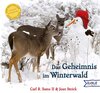 Buchcover Das Geheimnis im Winterwald