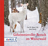 Buchcover Geheimnisvoller Besuch im Winterwald Mini