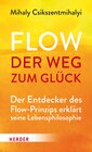 Buchcover Flow - der Weg zum Glück