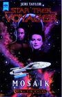 Buchcover Star Trek - Mosaik
