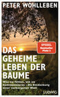 Buchcover Das geheime Leben der Bäume