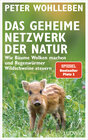 Buchcover Das geheime Netzwerk der Natur