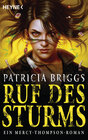 Buchcover Ruf des Sturms