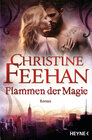 Buchcover Flammen der Magie