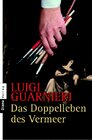 Buchcover Das Doppelleben des Vermeer