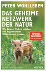 Buchcover Das geheime Netzwerk der Natur