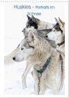 Buchcover Huskies - Portraits im Schnee (Wandkalender 2025 DIN A3 hoch), CALVENDO Monatskalender