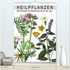 Buchcover Heilpflanzen (hochwertiger Premium Wandkalender 2025 DIN A2 hoch), Kunstdruck in Hochglanz