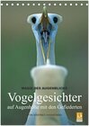 Buchcover Magie des Augenblicks - Vogelgesichter - auf Augenhöhe mit den Gefiederten (Tischkalender 2025 DIN A5 hoch), CALVENDO Mo