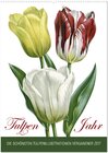Buchcover Tulpen - Jahr (Wandkalender 2025 DIN A2 hoch), CALVENDO Monatskalender